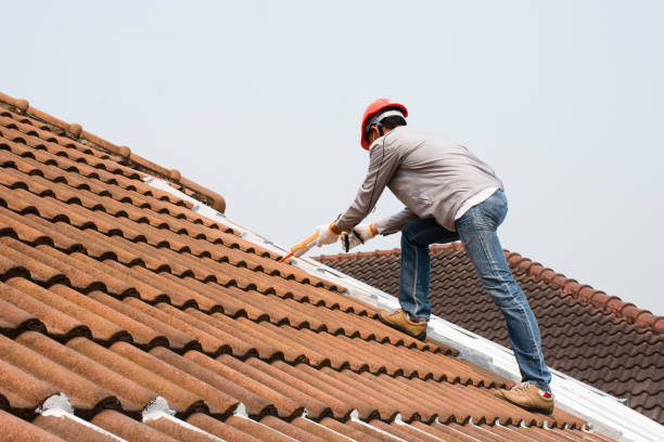 Best Emergency Roof Repair Services  in Loveland Park, OH